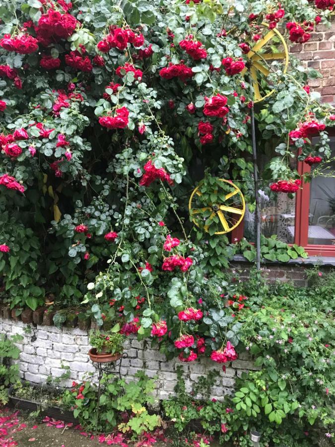 B&B De Henehoeve Heks Exteriör bild